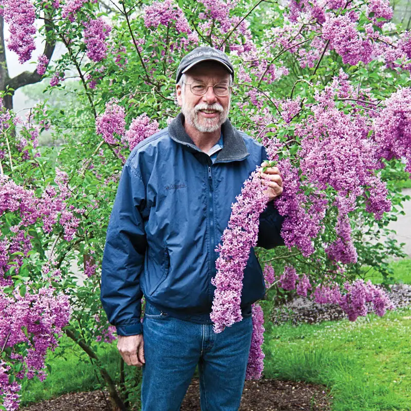 1009-lilac-sunday-lilac-1.webp