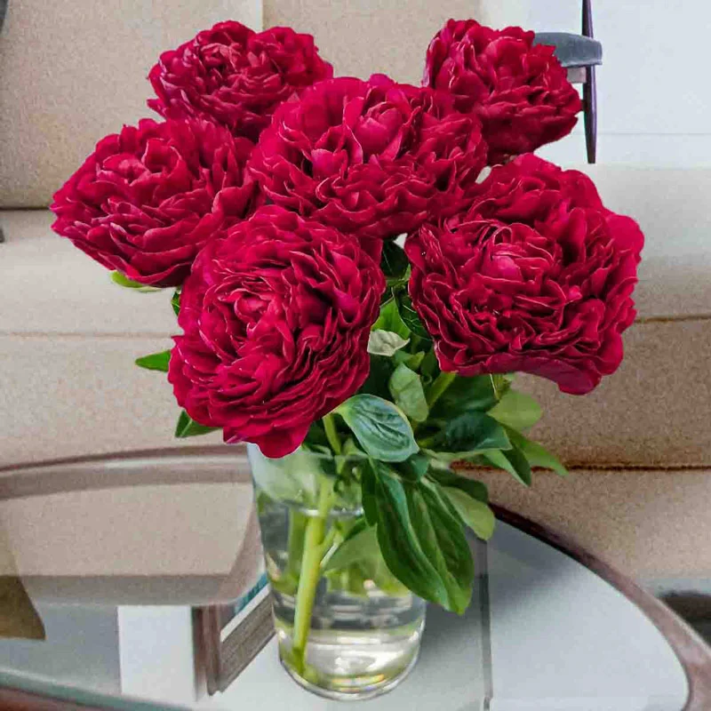 Old Faithful Peony
