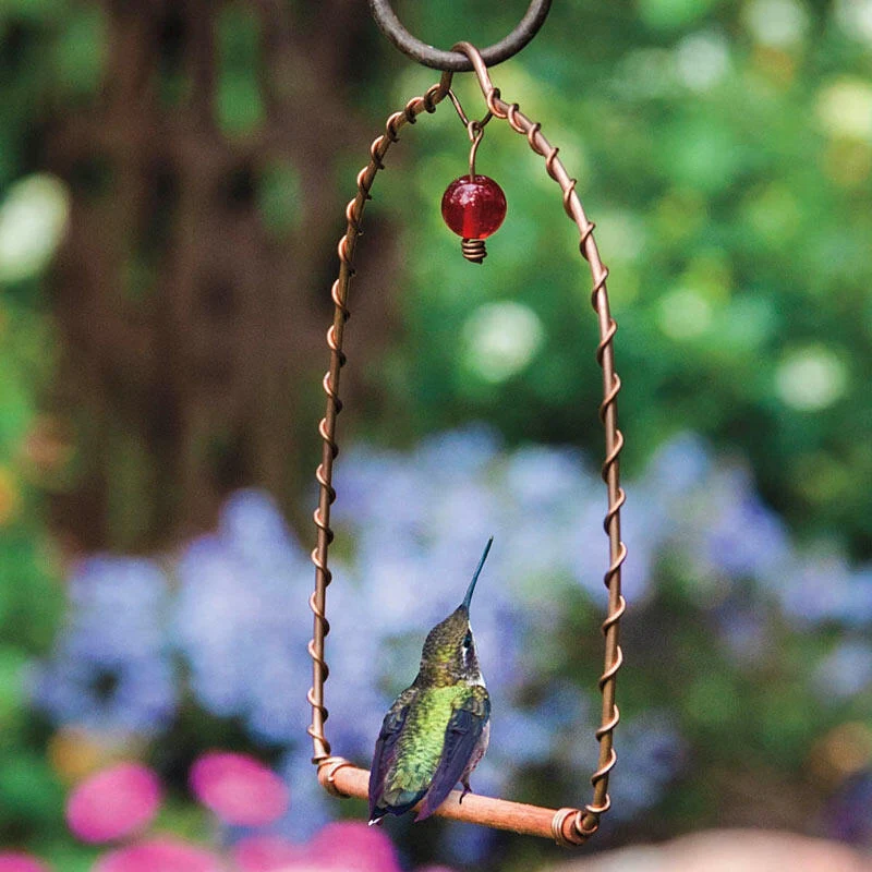 1588-hummingbird-perch-1.webp
