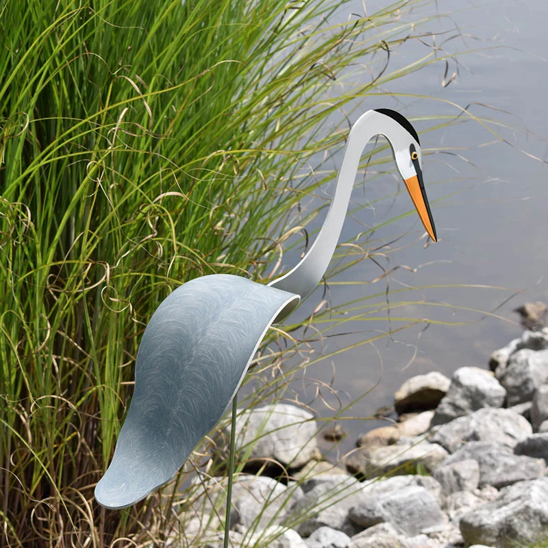 Florida Dancing BirdsÂ® Great Blue Heron