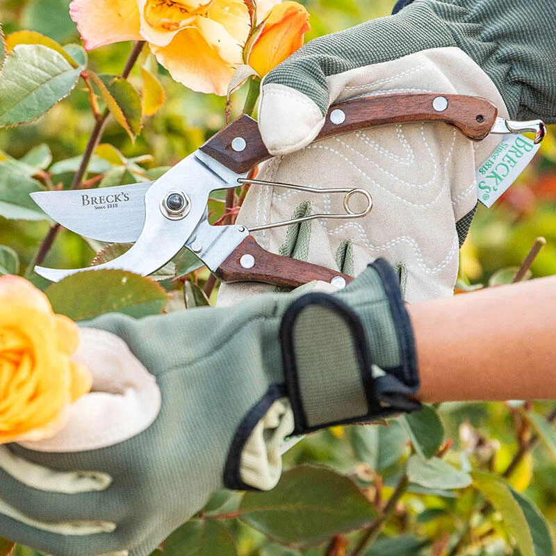 Breck's Rosewood Pruners