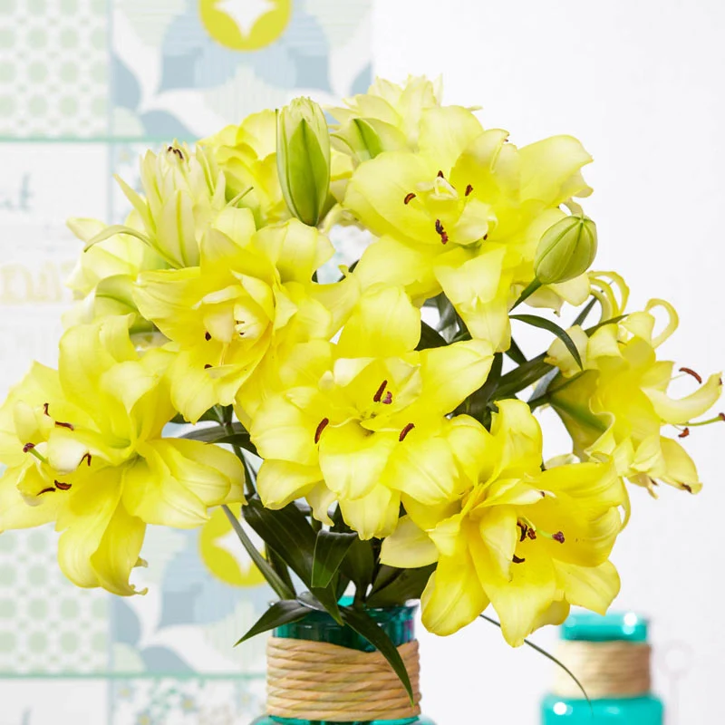 Exotic Sun Double Flowered Lily TreeÂ®