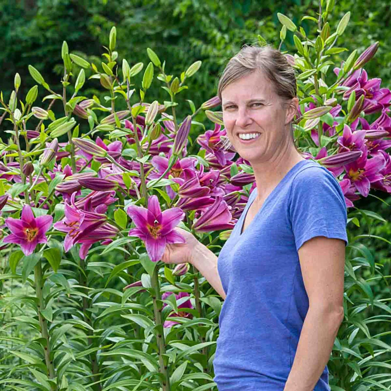 Purple Lady Lily Tree®