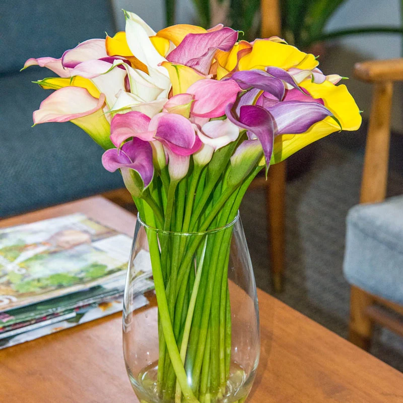 59-calla-lily-mixture-1.webp