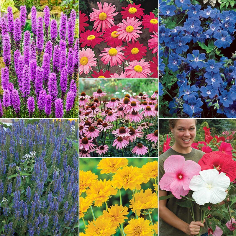 Deeresistibleâ¢  Designer Garden